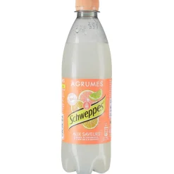 Boisson Schweppes Agrumes 50 cl