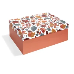 Boîte à cadeau rectangulaire 32x24xH11,2cm - 2 modèles