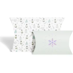 Boîte cadeau berlingot Noël motif pingouin x2