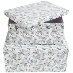 Boîte Noël design Jardin d'Hiver x2