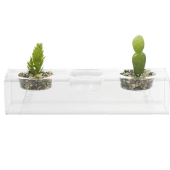 Centre de table plante grasse artificielle x2