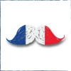 Serviette en papier tricolore design mister France x20