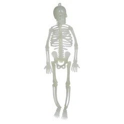 Squelette phosphorescent